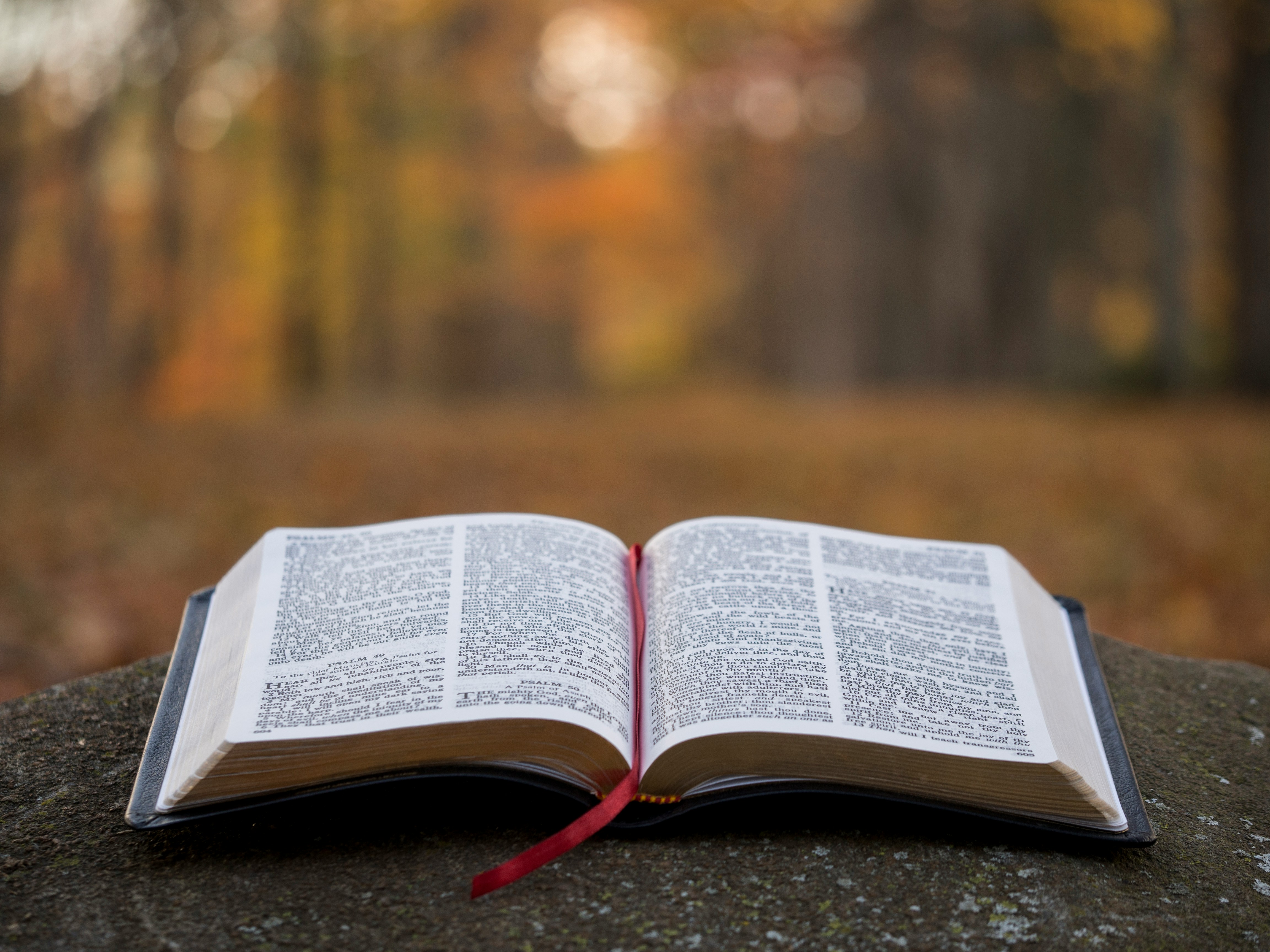 An Open Holy Bible